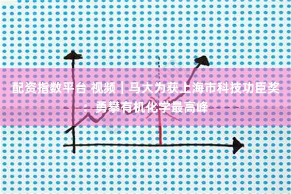 配资指数平台 视频︱马大为获上海市科技功臣奖：勇攀有机化学最高峰